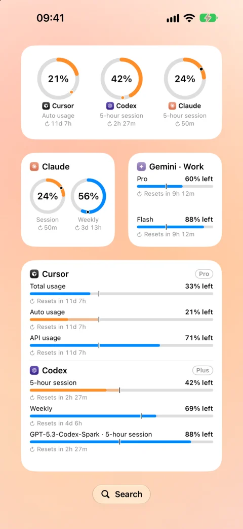 Home Screen widgets: rings for three accounts, a Claude session and weekly pair, and a list of every account's limits